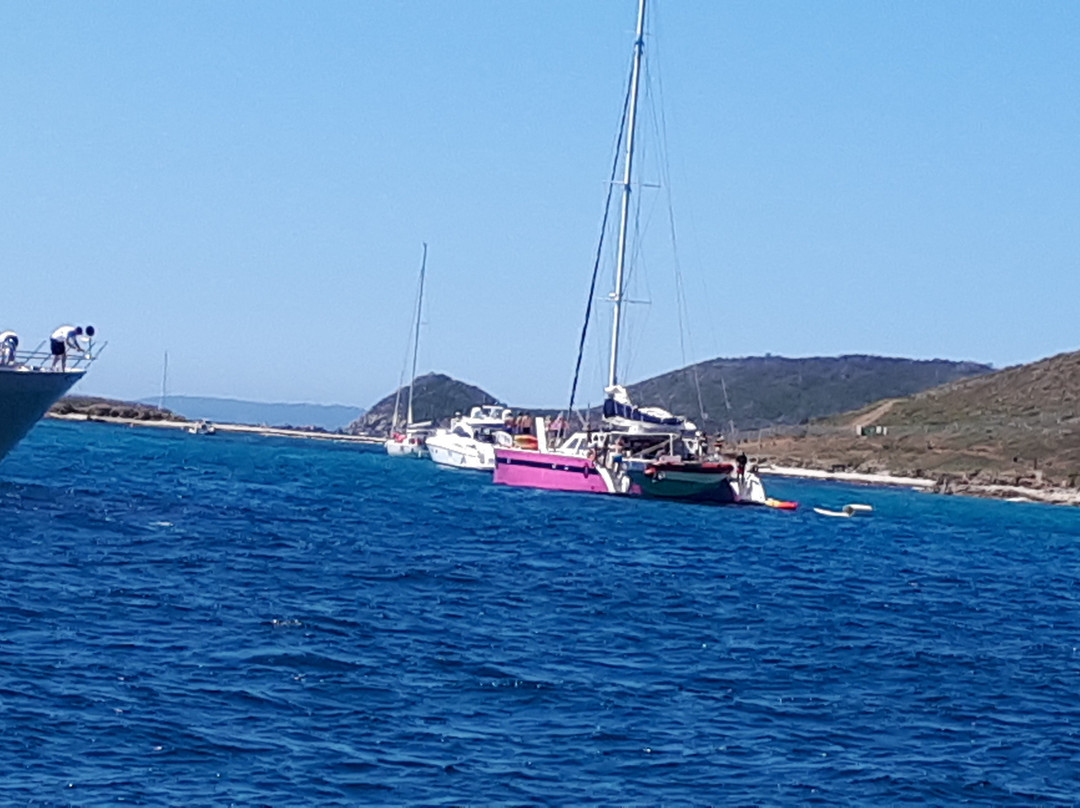 Caseneuve Maxi Catamaran景点图片