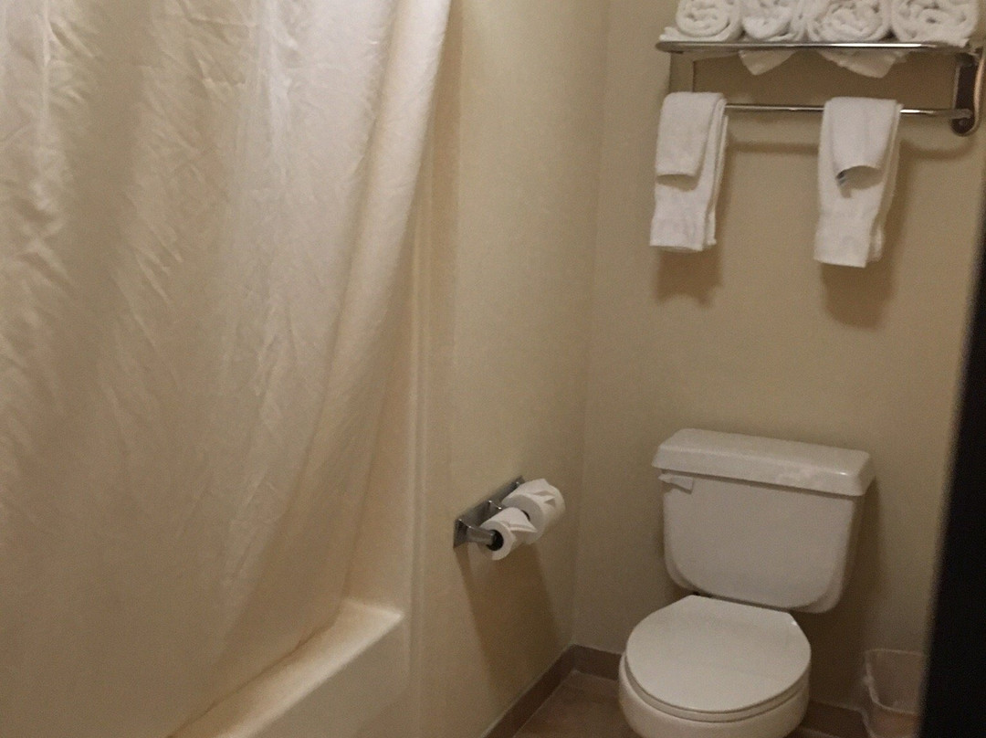 Best Western Princeton Manor Inn & Suites主图