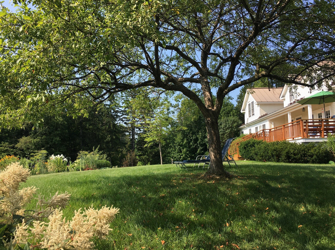 Cornwall Orchards Bed & Breakfast主图