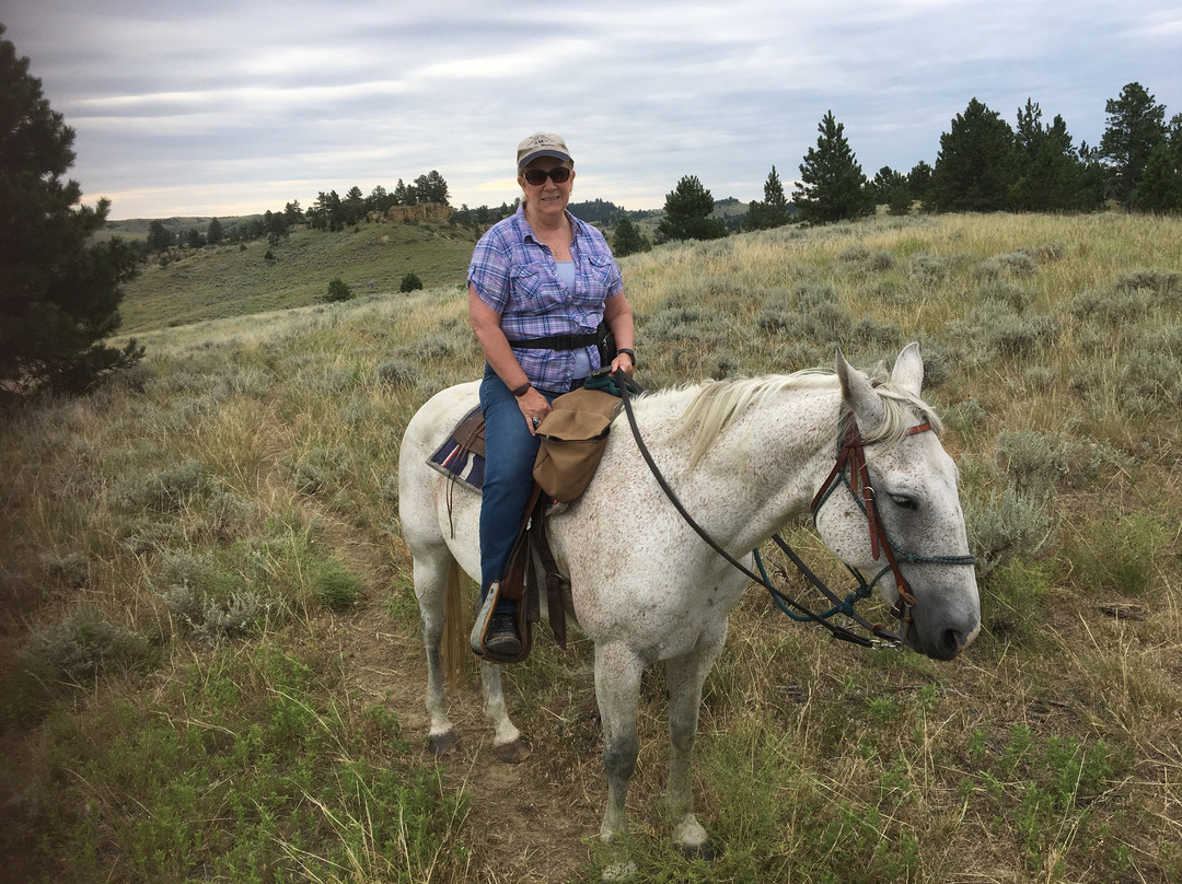 Bitter Creek Outfitters-比灵斯必去景点