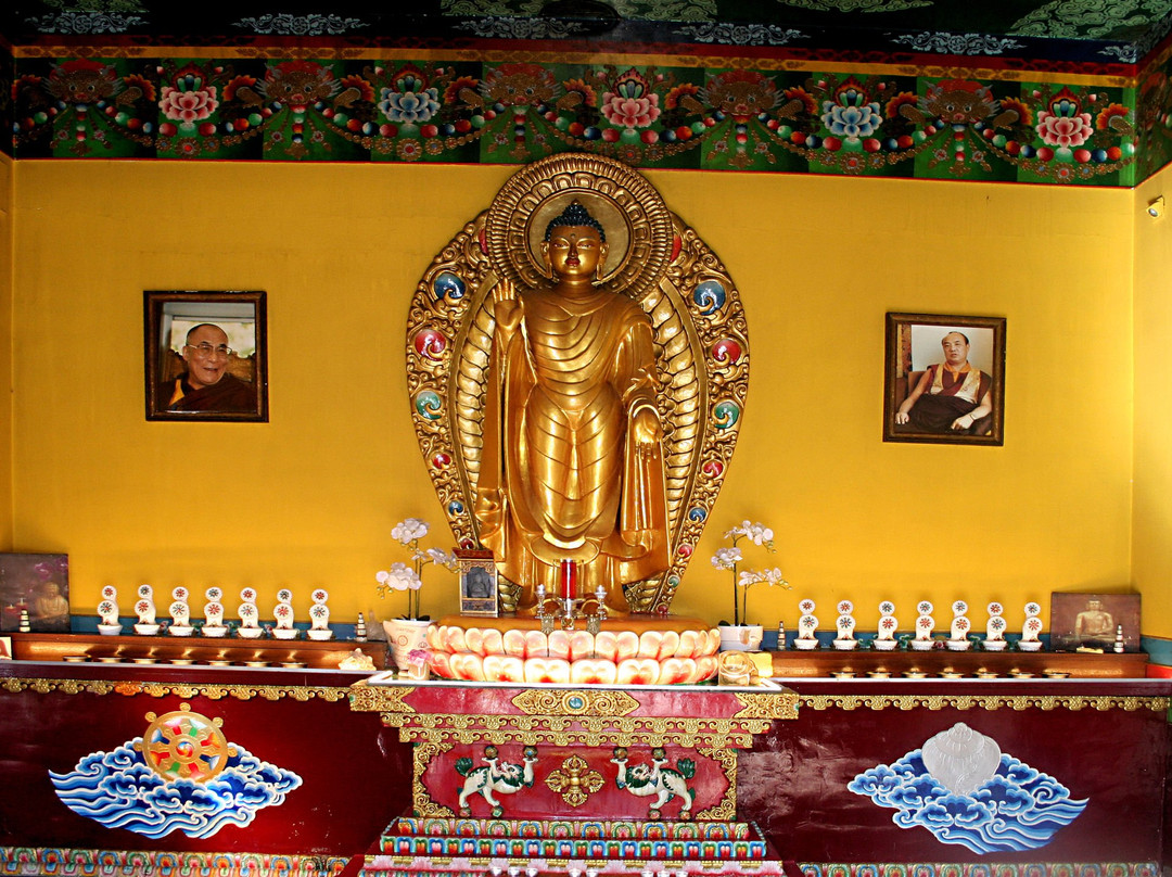 Institut Tibetain Yeunten Ling asbl景点图片