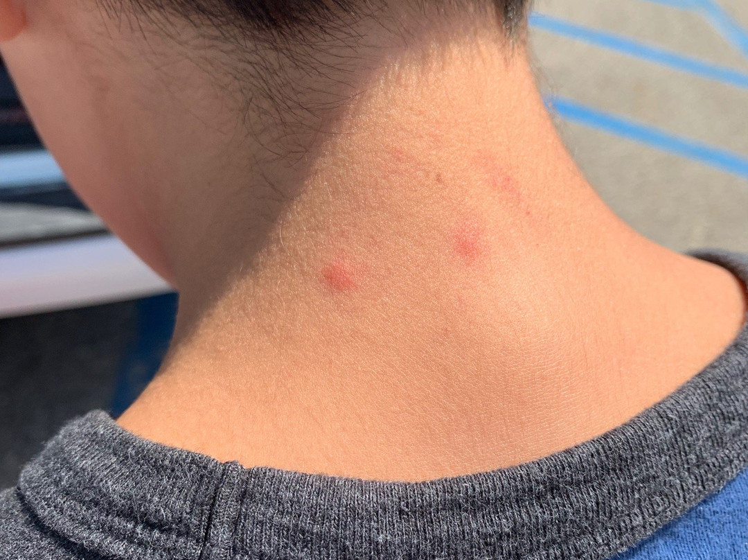 AmericInn by Wyndham Fargo Medical Center主图