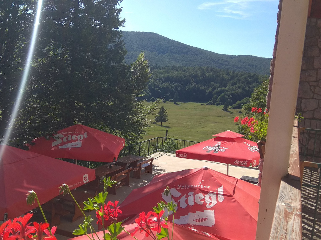 Veliki dom Platak