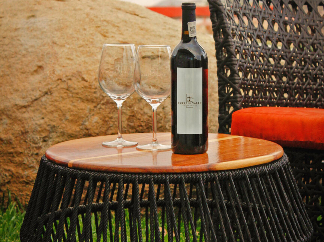 Familia Rouzand Noriega酒店住宿-Parra Del Valle Hotel Boutique