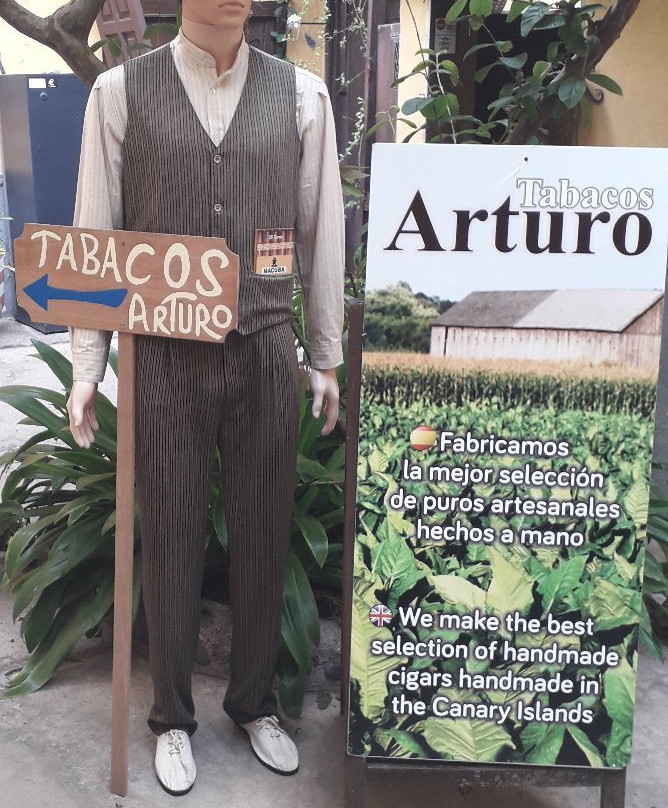 Tabacos Arturo景点图片