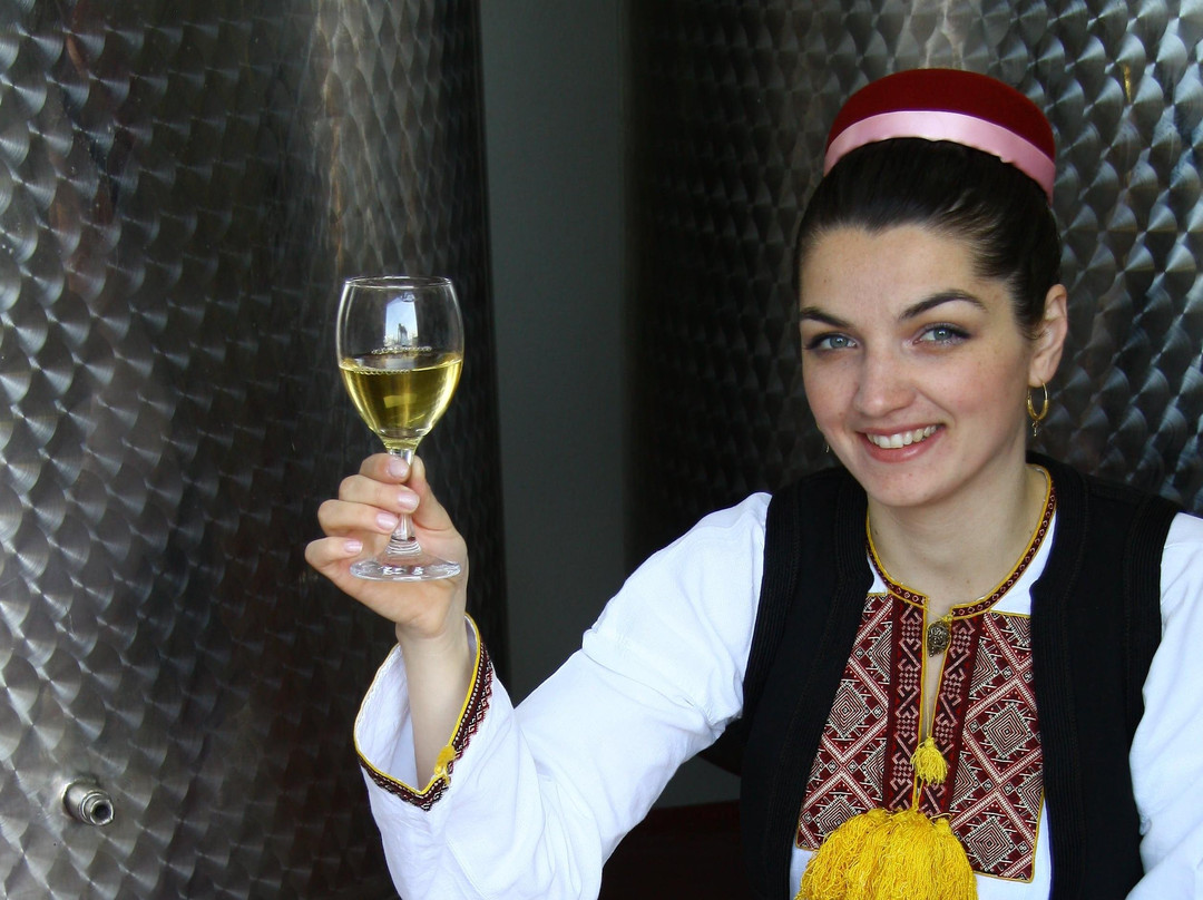 Wine Bar Vodopic景点图片