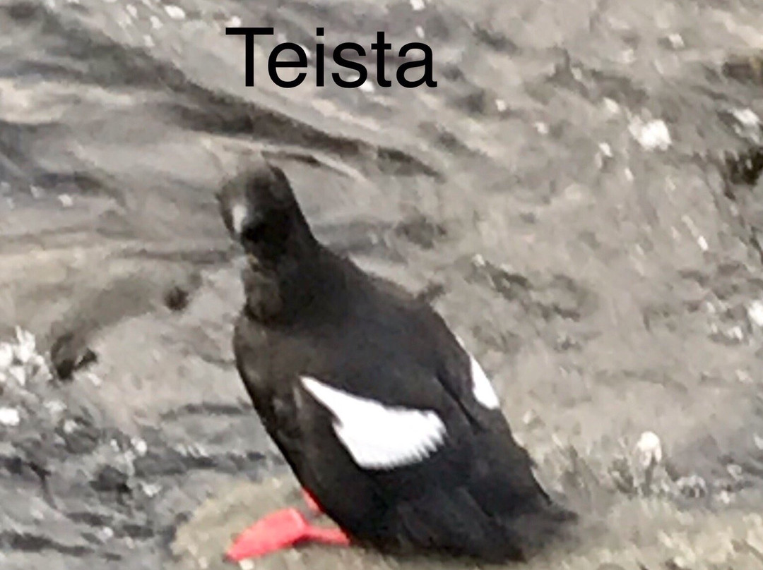 Kirkjubol Guesthouse主图