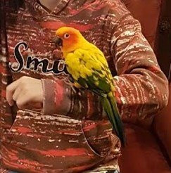 Boardwalk Plaza Hotel主图