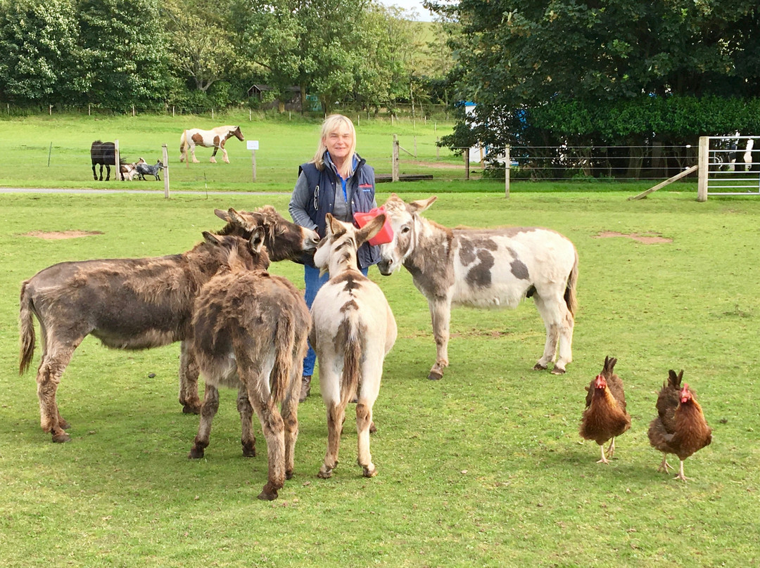 Little Turnberry Farm & Chicken Nest景点图片