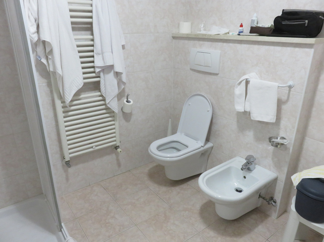Hotel Olympia Terme主图
