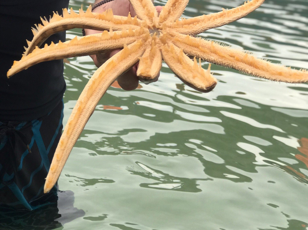 Adventure Adam-高龙必去景点