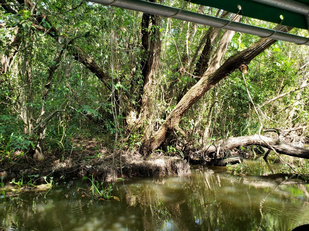 Pantanos de Centla-坎佩切州必去景点