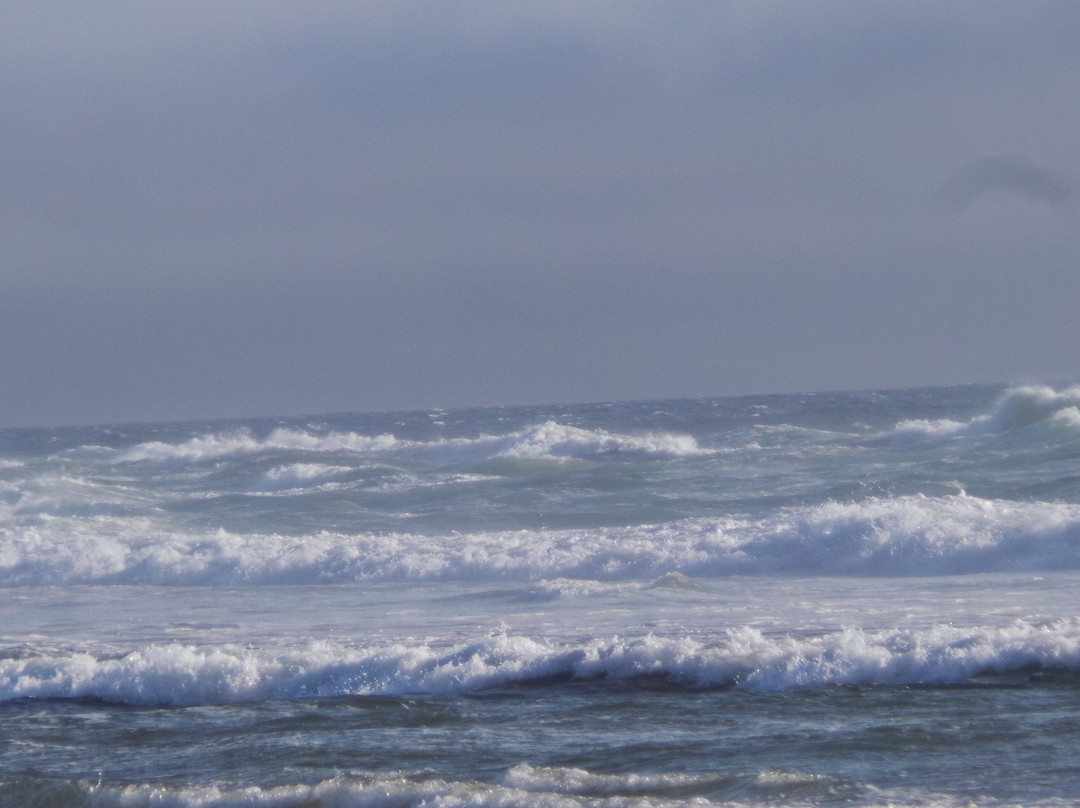 Driftwood Shores Resort & Conference Center主图