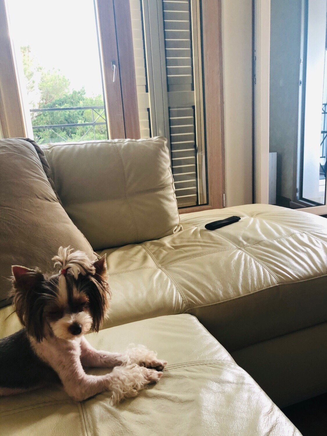 De Lux Apartments-官方