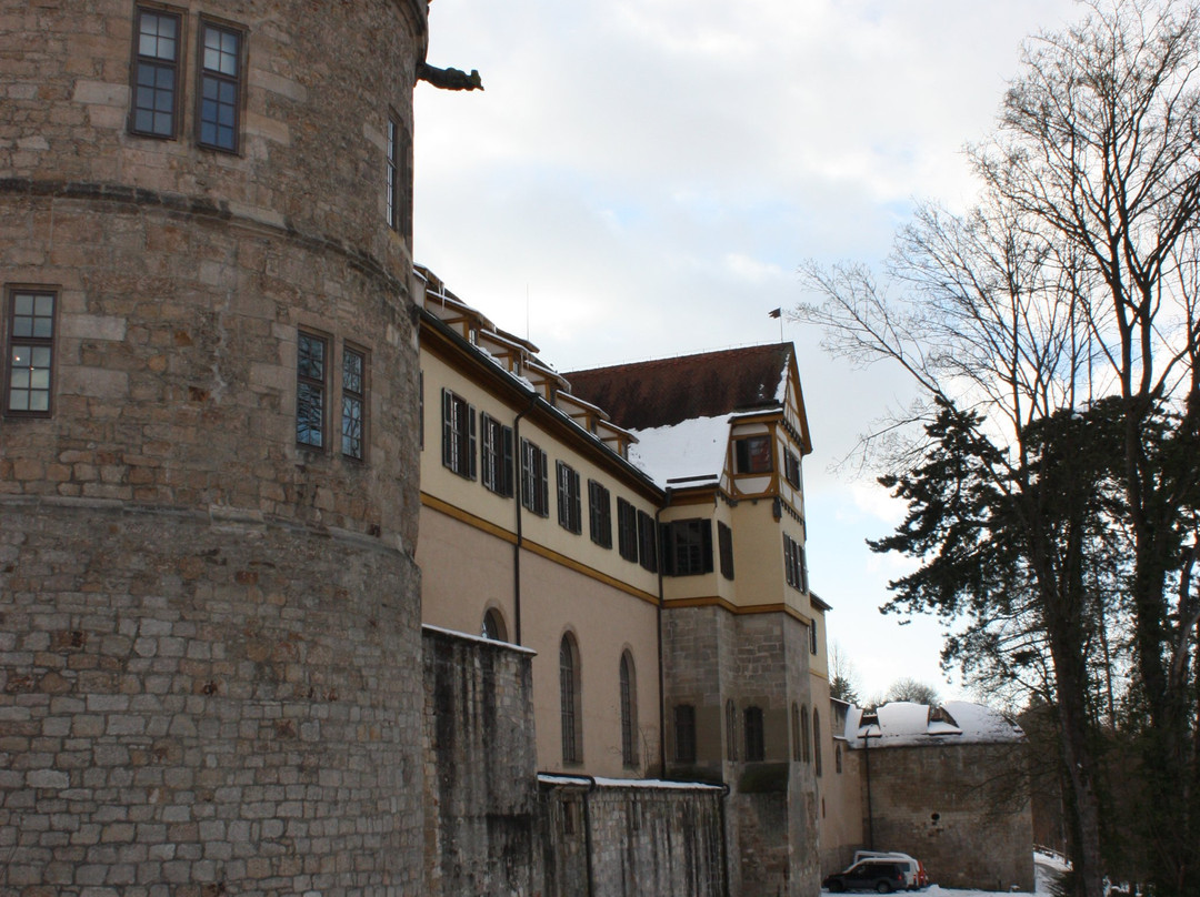 Museum Schloss Hohentuebingen (Museum Ancient Cultures)景点图片