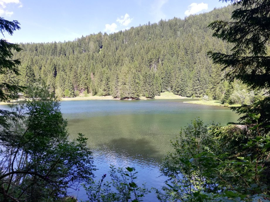 Bed and Breakfast Casa dei Ricci主图