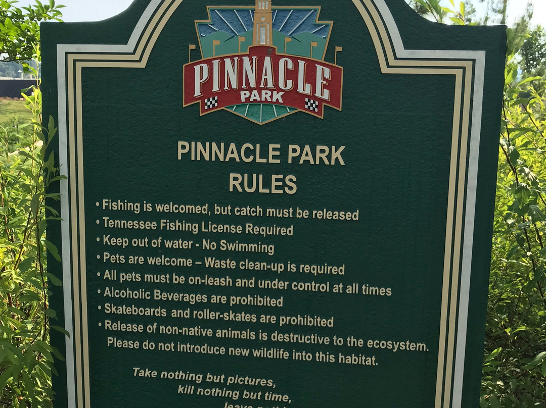 The Pinnacle-布里斯托尔必去景点