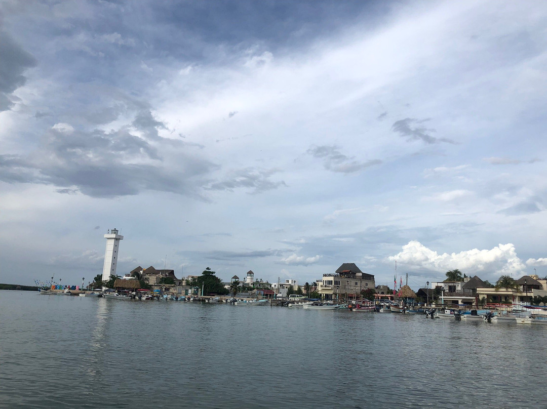 Boat Trip Rio Lagartos景点图片