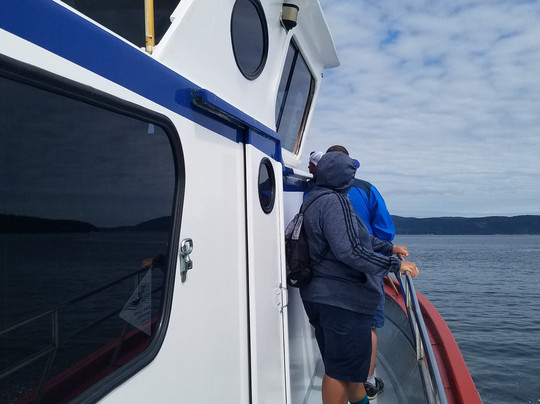 Western Prince Whale & Wildlife Tours-星期五港湾必去景点