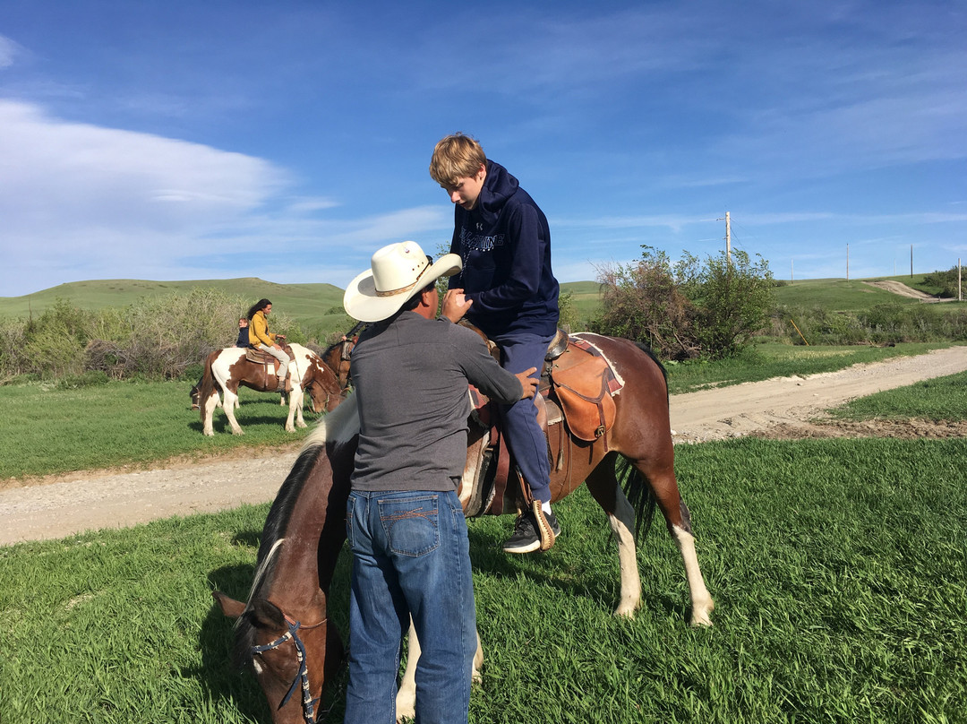 DeBoo Ranch Adventures景点图片