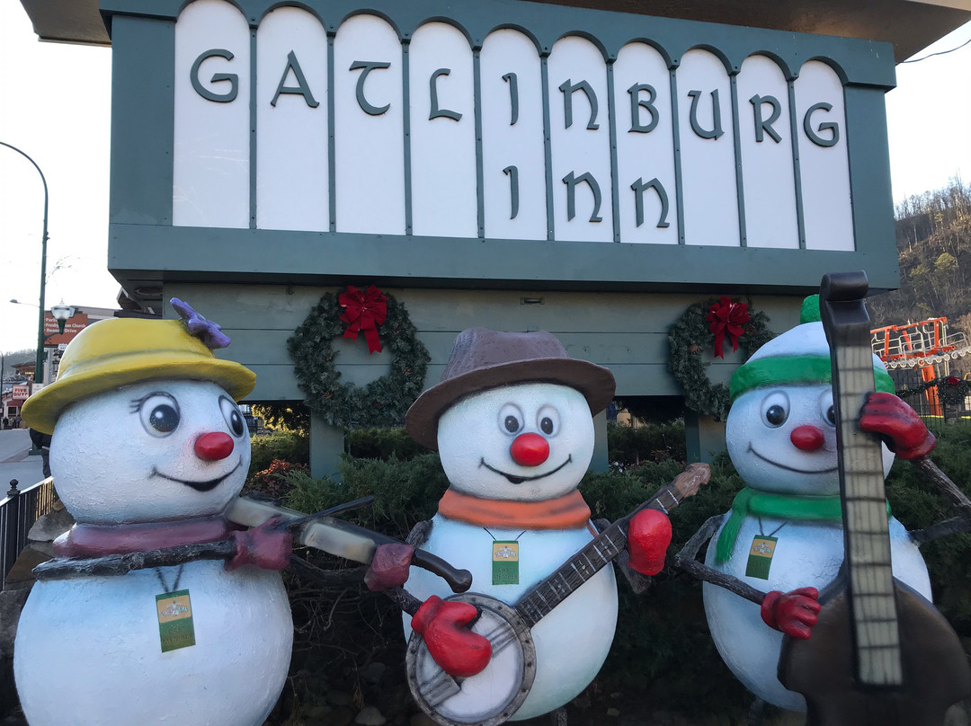 加特林堡酒店主图