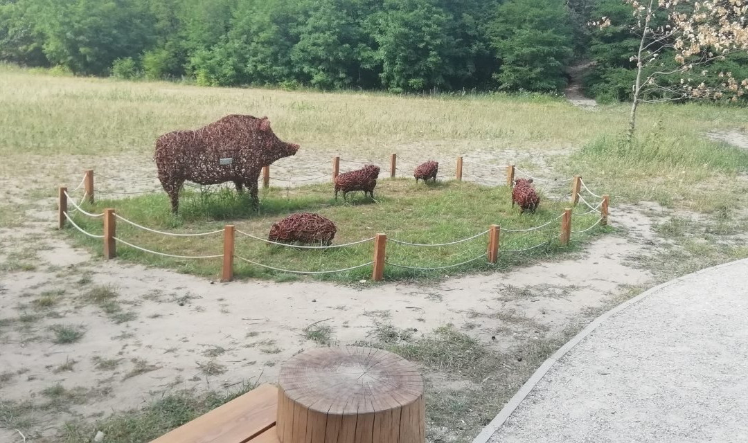 Park Dolina Wkry景点图片