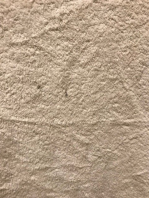 雷吉斯坎贝尔敦酒店主图