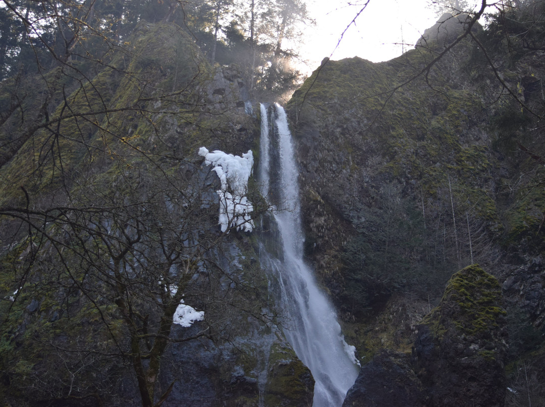 Starvation Creek State Park-Cascade Locks必去景点