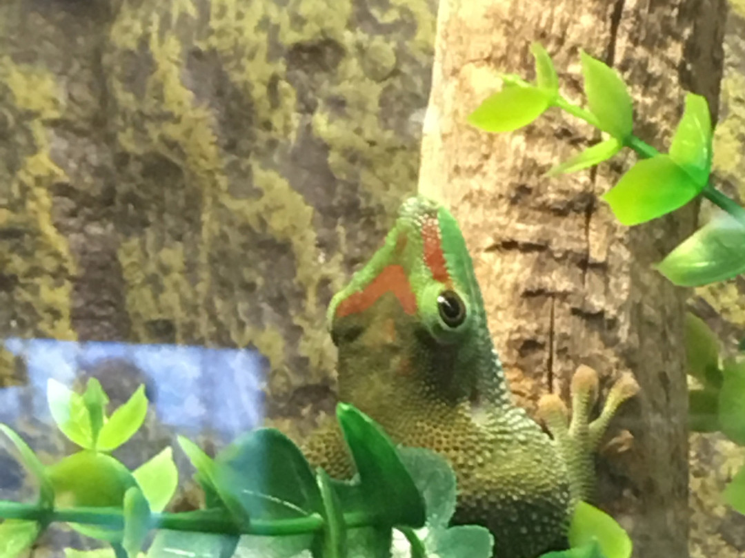 The Reptile Zoo-Monroe必去景点