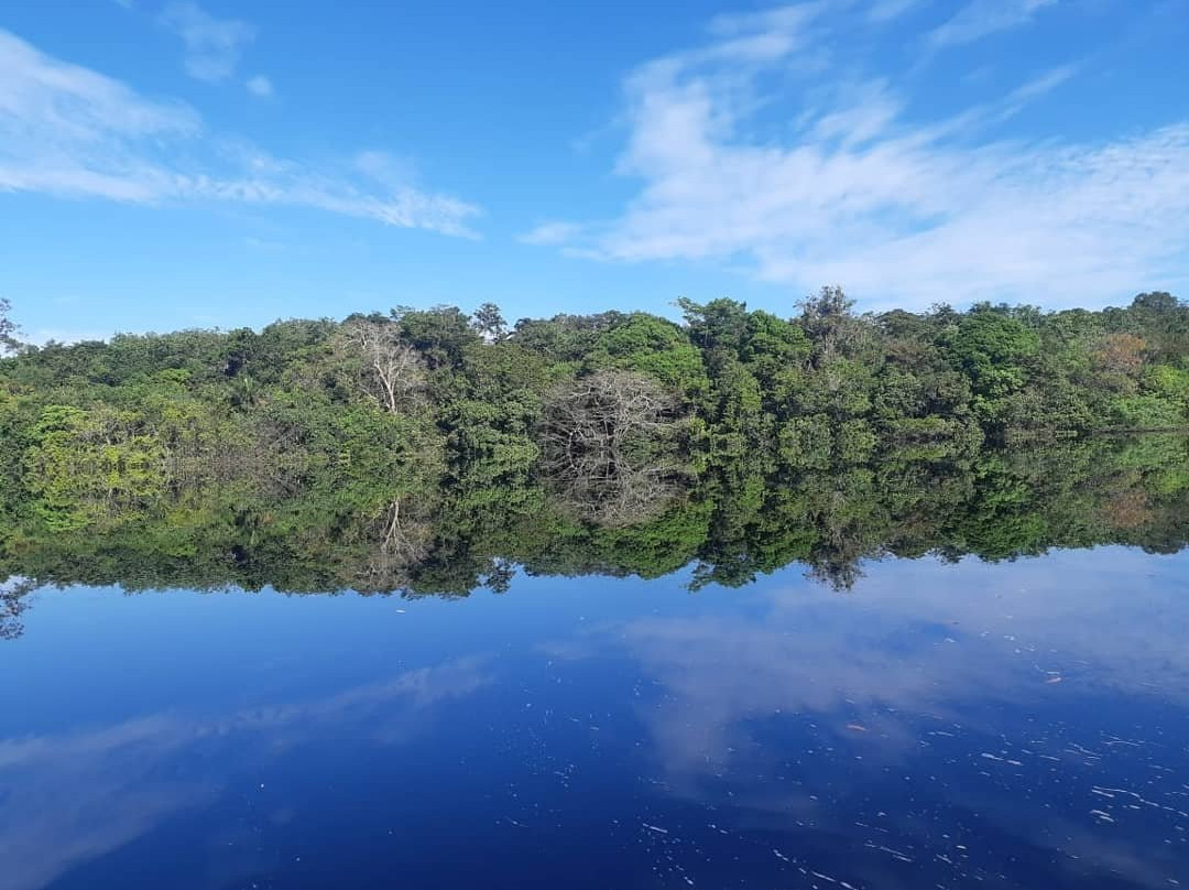 Parque Nacional do Jaú-Novo Airao必去景点