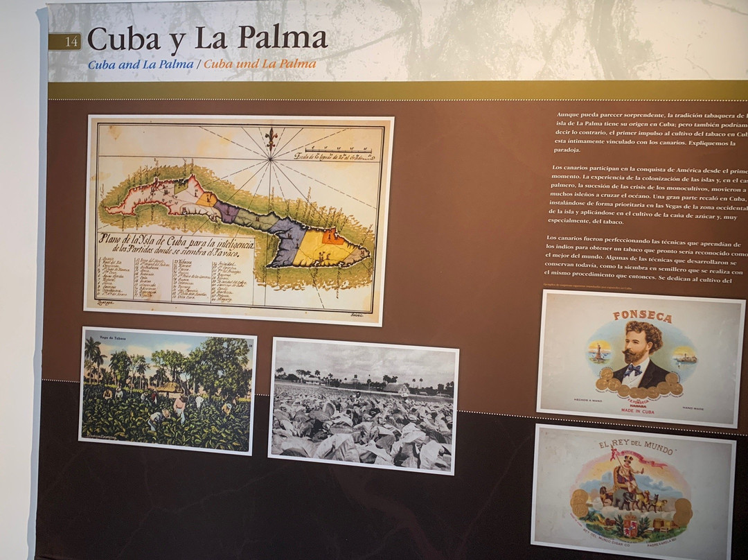 Museo del Puro Palmero景点图片