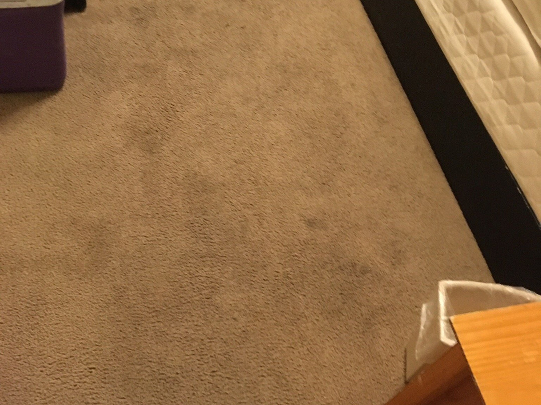 Paintbrush Inn主图