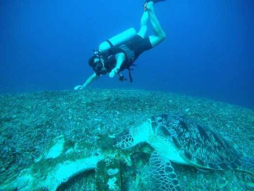 Gili Air Divers景点图片