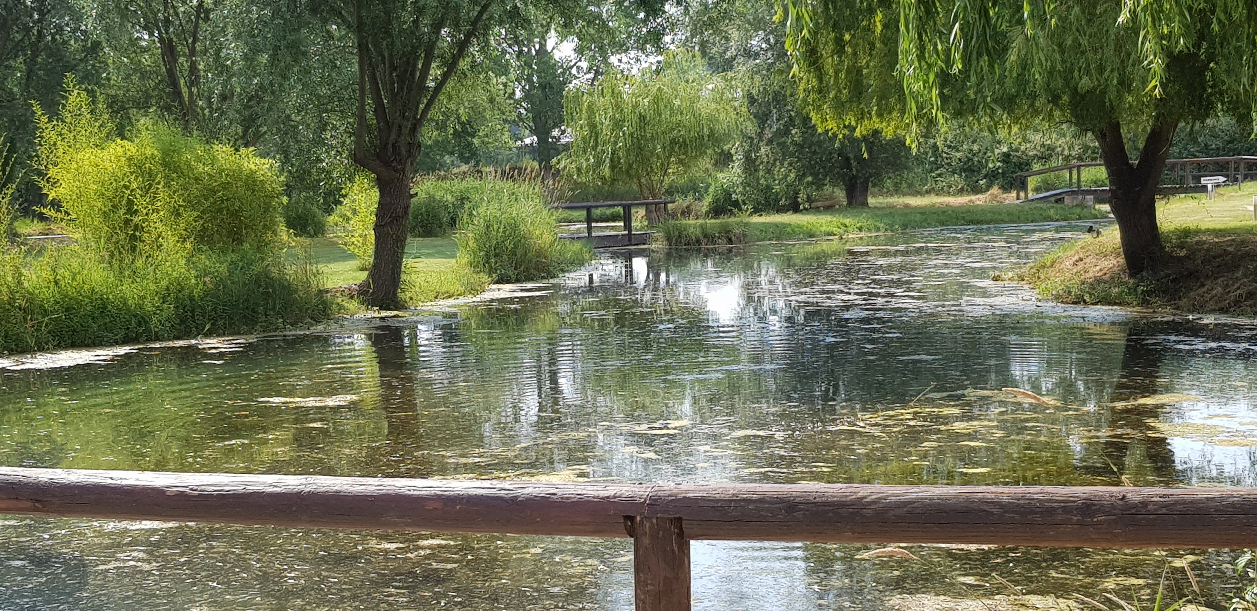 Domaine du Grand Lauron-官方