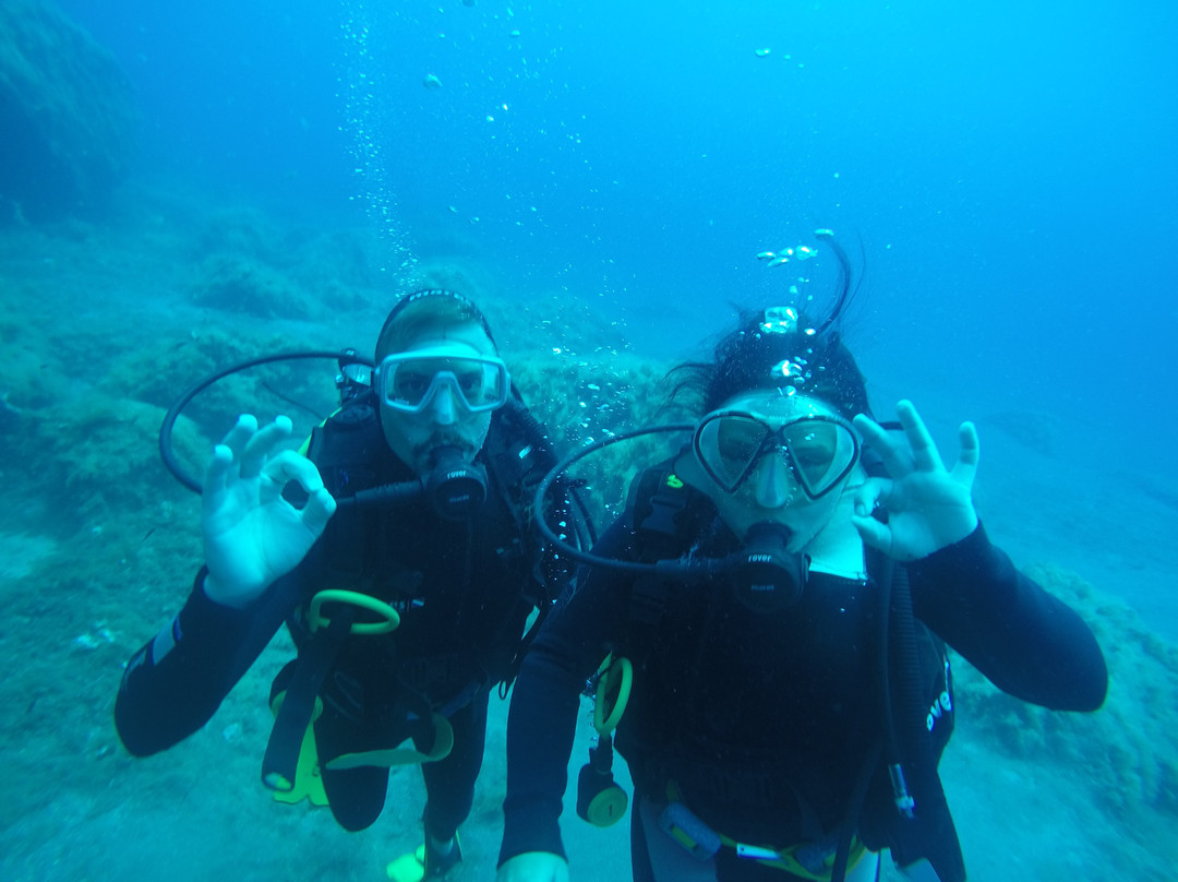 Capraia Diving Club-Capraia Isola必去景点