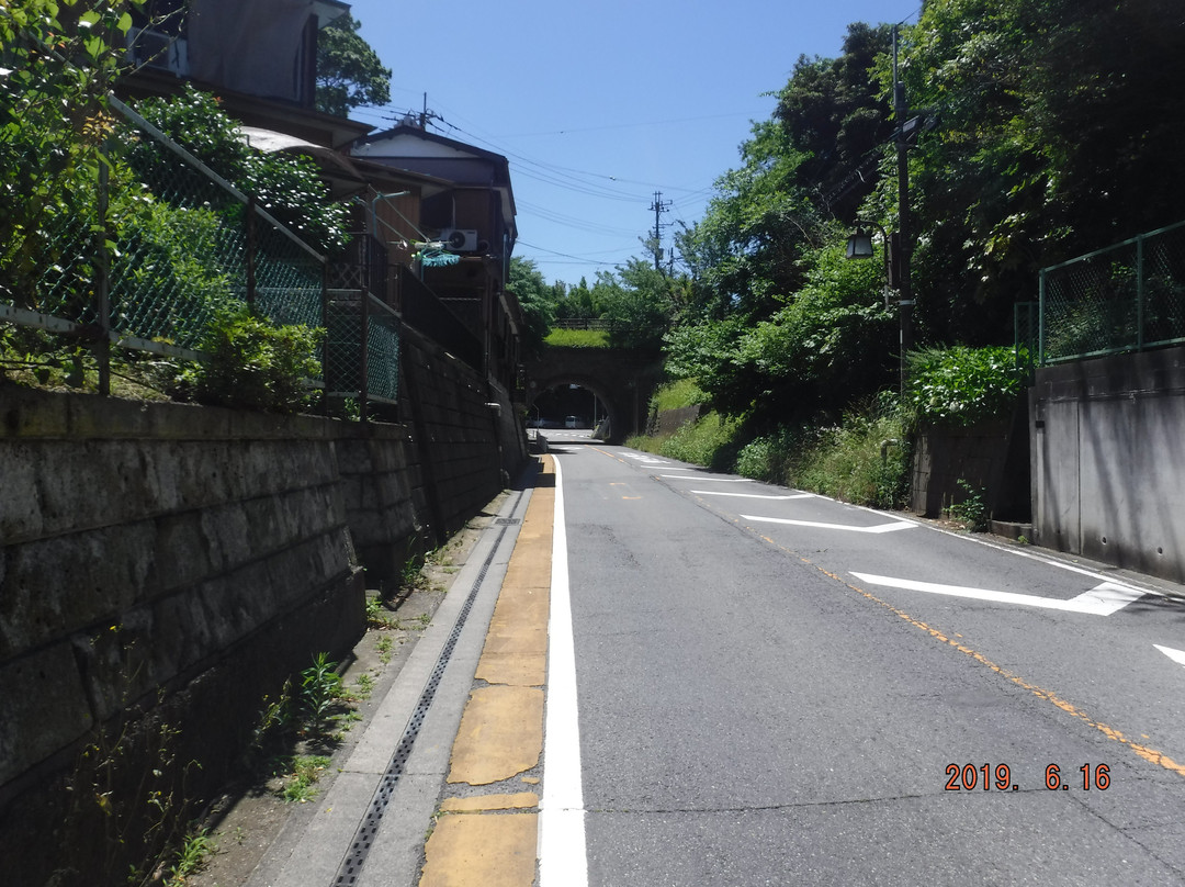 Seiso Densha 1st and 2nd Tunnel景点图片