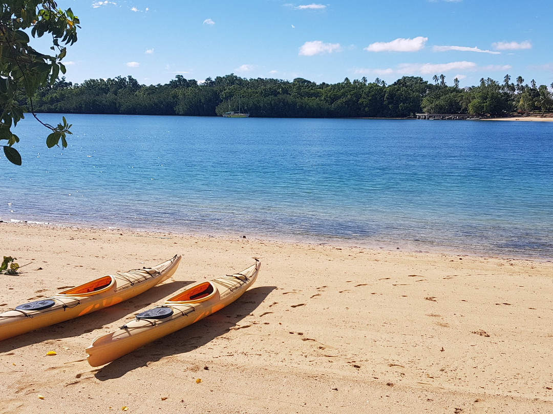 Island Time Kayaking Tours - Day Tours景点图片