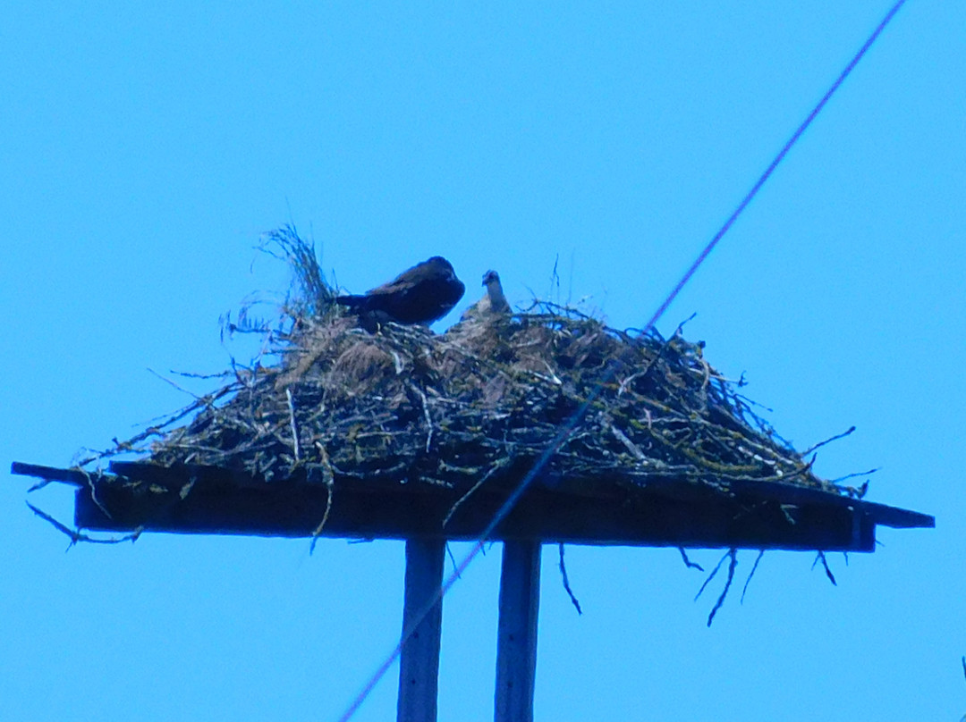 Delta Ponds City Park-尤金必去景点