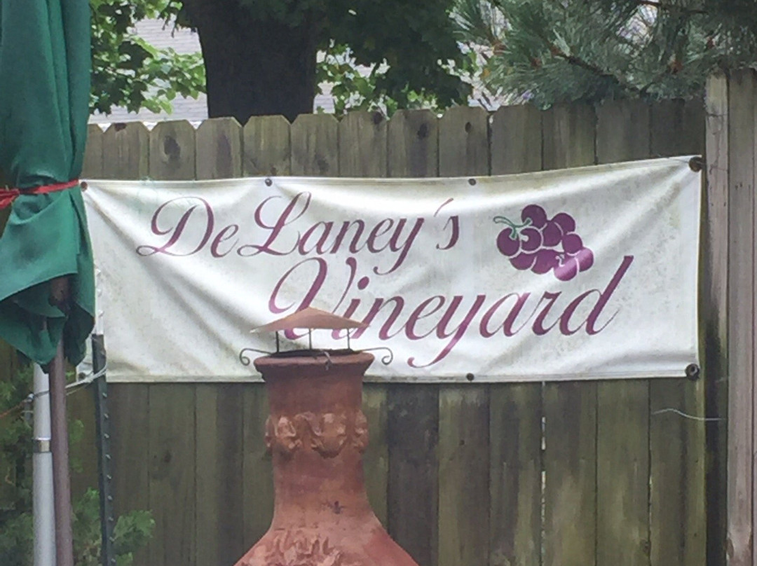 DeLaney Vineyard & Winery景点图片