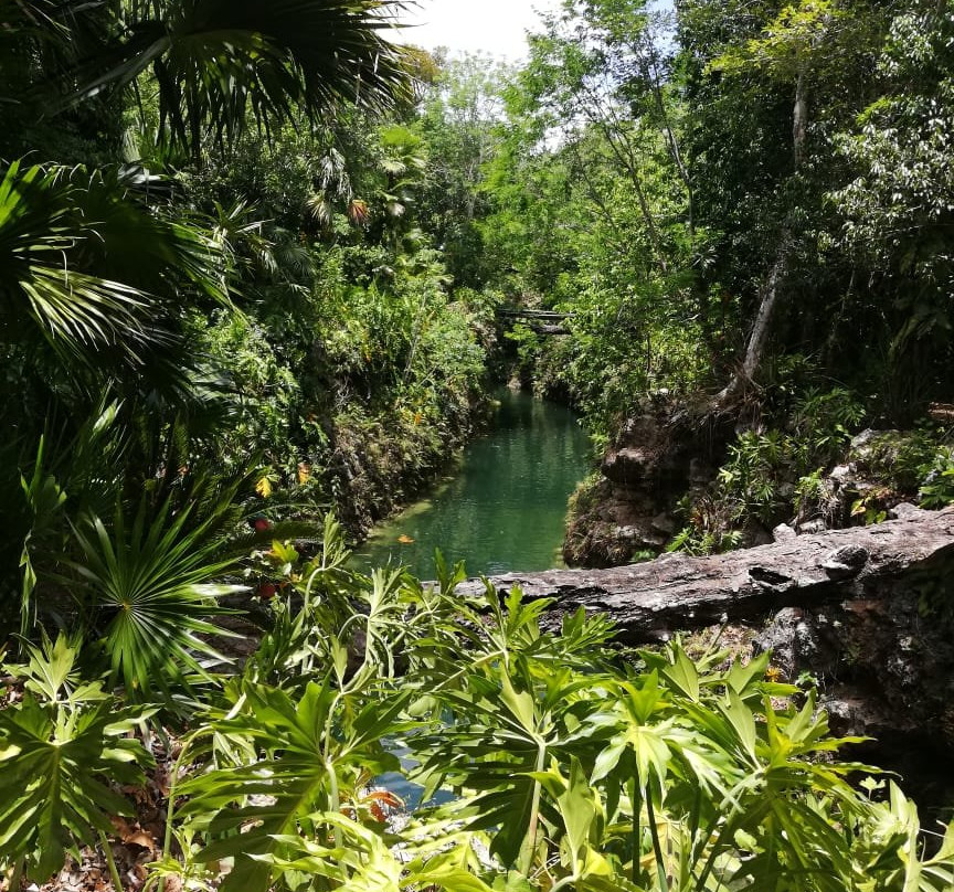 天然井绿洲玛雅-坎昆必去景点