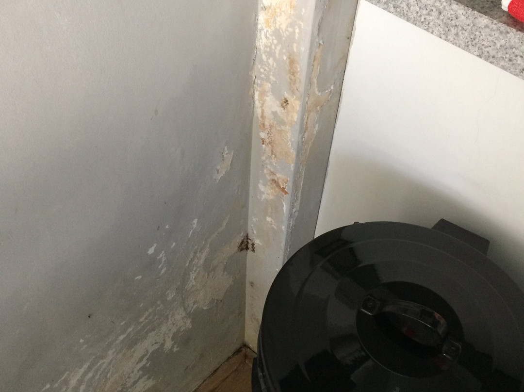 Bed and Breakfast Mya主图