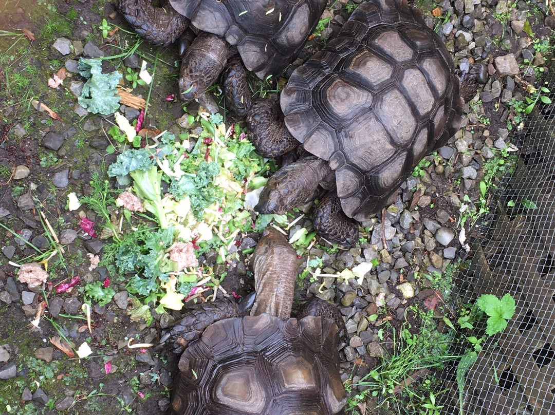 Exotarium: Ferme de Reptiles-Saint-Eustache必去景点