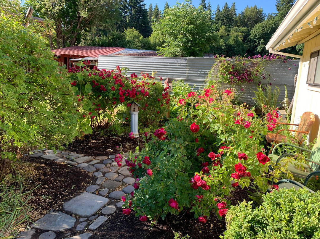 Mt. Hood Bed and Breakfast主图