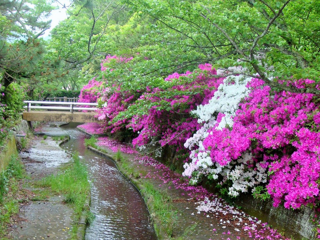 Obama Park-小滨市必去景点