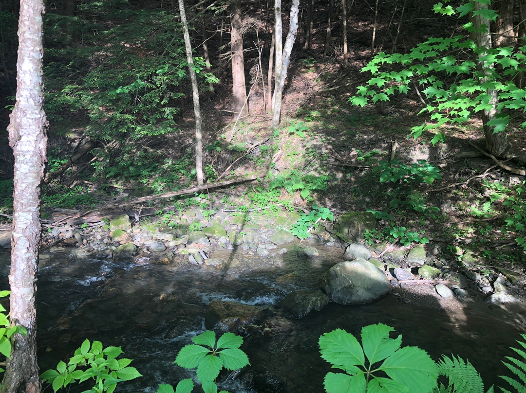 Stay Berkshires主图