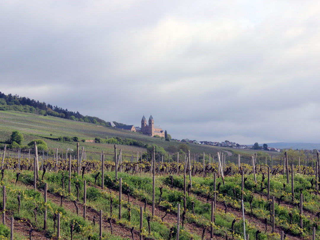 Tourist Information Rudesheim-吕德斯海姆必去景点