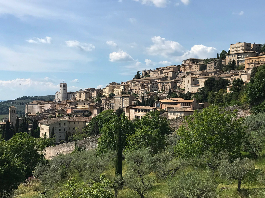 Suore Svedesi di S. Brigida主图