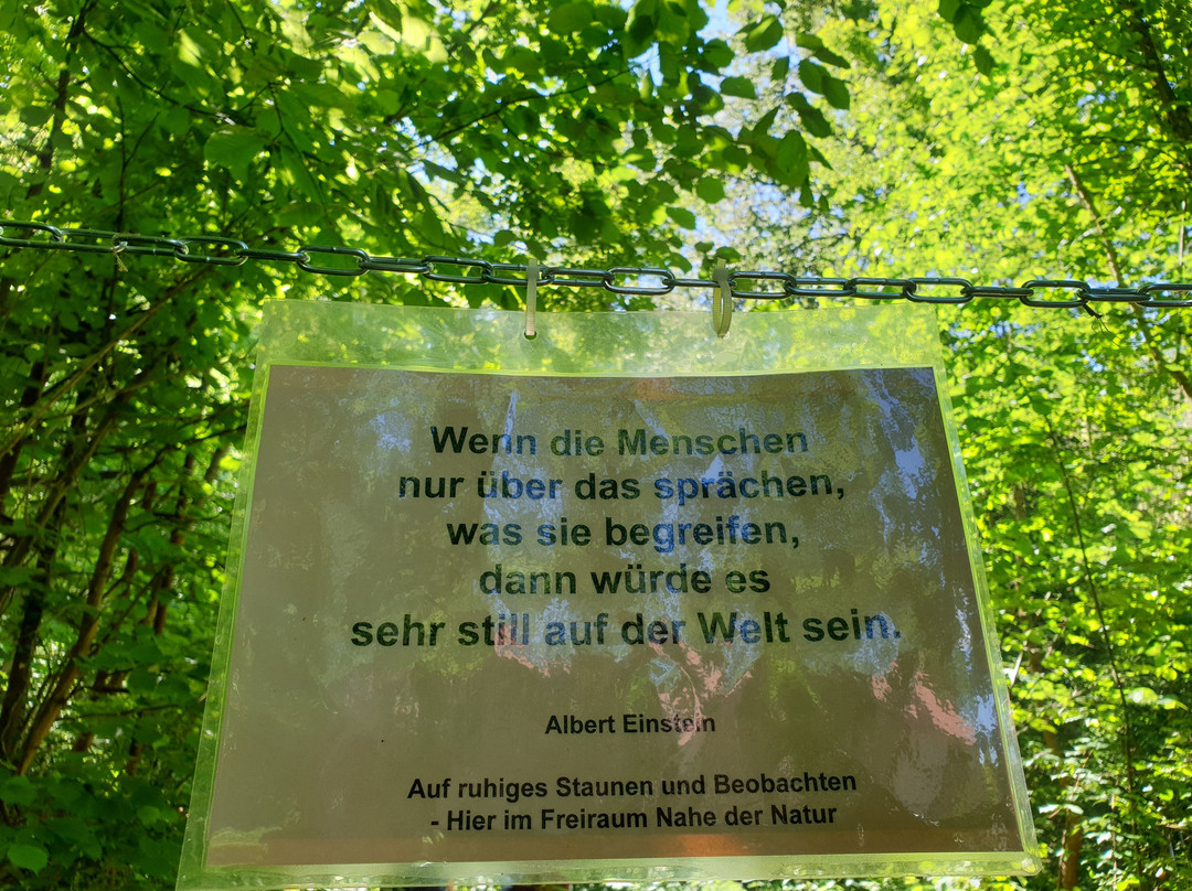Nahe der Natur - Mitmach-Museum fur Naturschutz景点图片