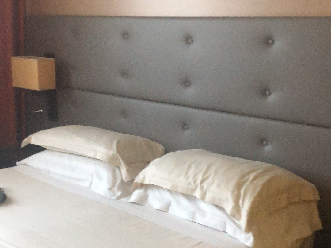 莱尼亚诺皇宫酒店主图