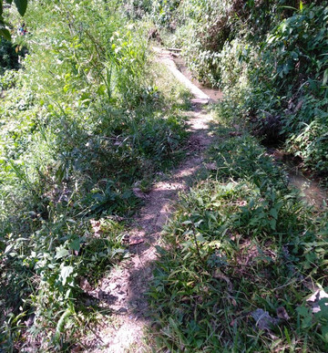 Tengku Lese Waterfall-Tengku Lese必去景点